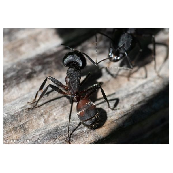 PHOTO84, CLUB, 84 , LUBERON